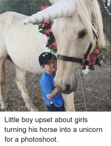 boy upset by unicorn horse