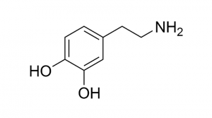 dopamine-