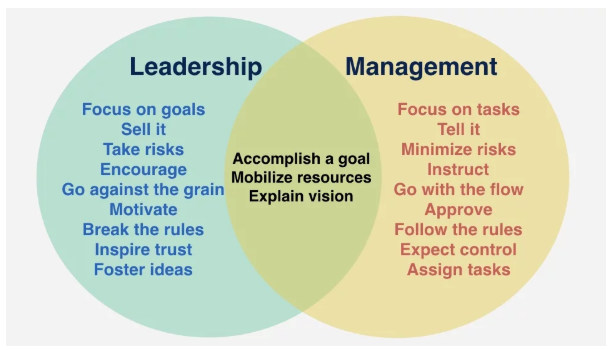 Leadership & Management